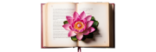 A pink lotus blooming out of a book